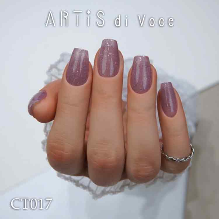 ARTiS di Voce ブラッシュオンカラージェル 8g CT017