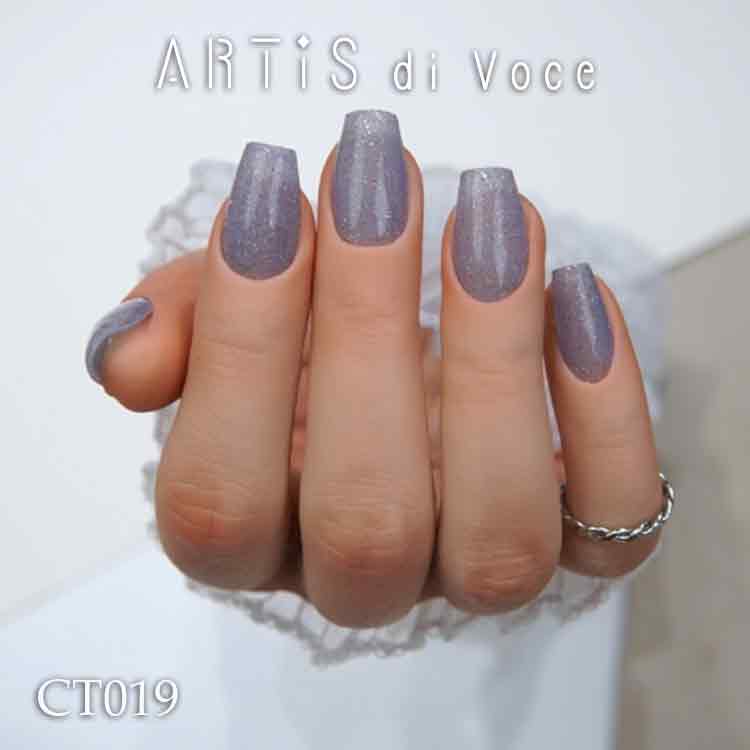 ARTiS di Voce ブラッシュオンカラージェル 8g CT019
