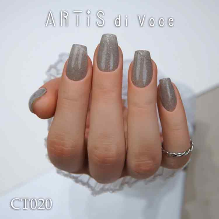 ARTiS di Voce ブラッシュオンカラージェル 8g CT020