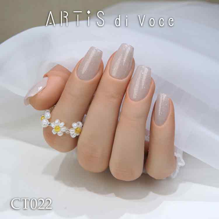 ARTiS di Voce ブラッシュオンカラージェル 8g CT022