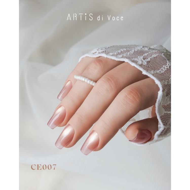 ARTiS di Voce ブラッシュオンカラージェル 8g CE007