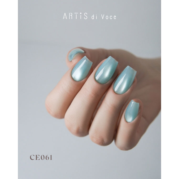 ARTiS di Voce ブラッシュオンカラージェル 8g CE061