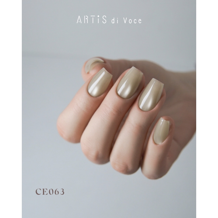 ARTiS di Voce ブラッシュオンカラージェル 8g CE063