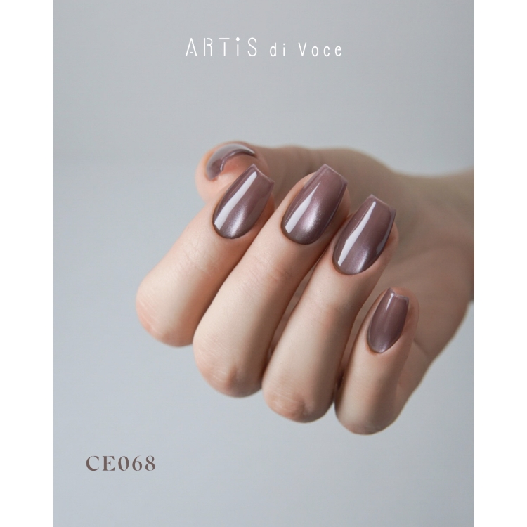 ARTiS di Voce ブラッシュオンカラージェル 8g CE068