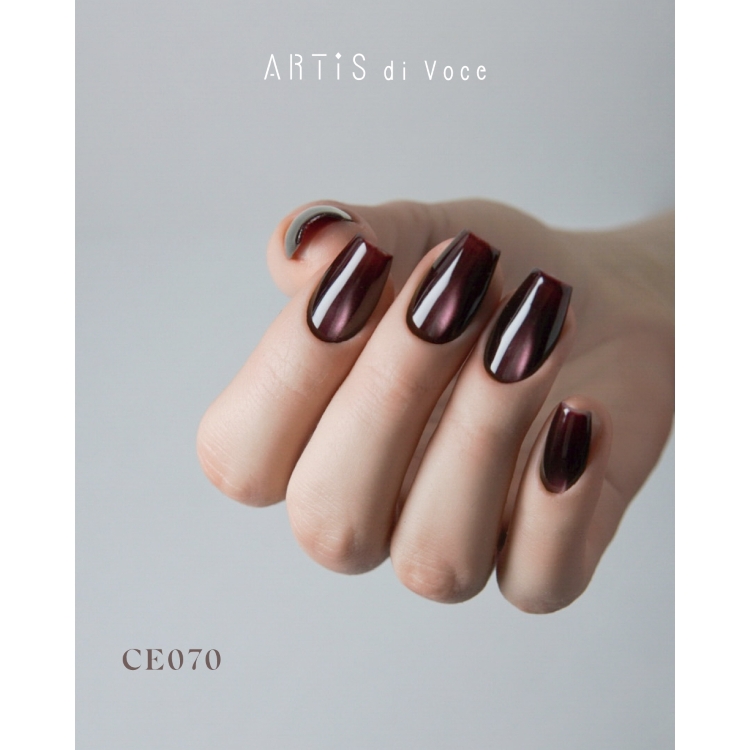 ARTiS di Voce ブラッシュオンカラージェル 8g CE070