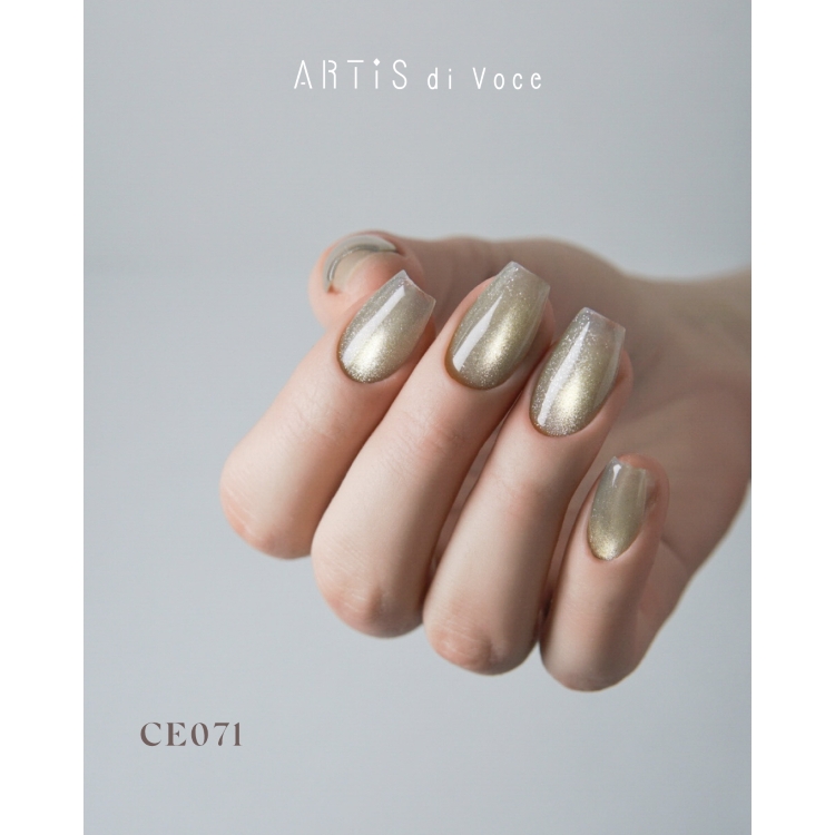 ARTiS di Voce ブラッシュオンカラージェル 8g CE071