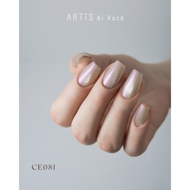 ARTiS di Voce ブラッシュオンカラージェル 8g CE081