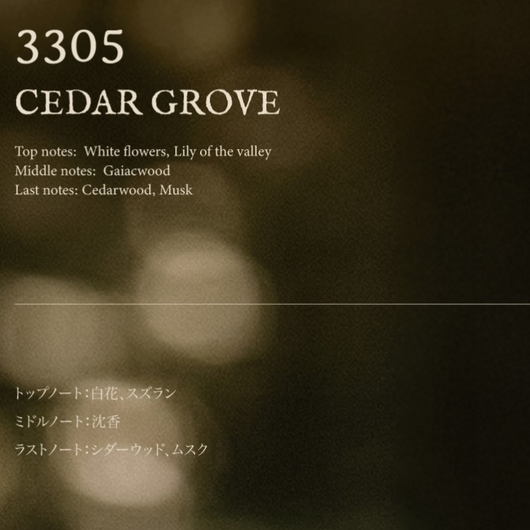 ARTiS di Voce パルファン 50ml  CEDAR GROVE 3305