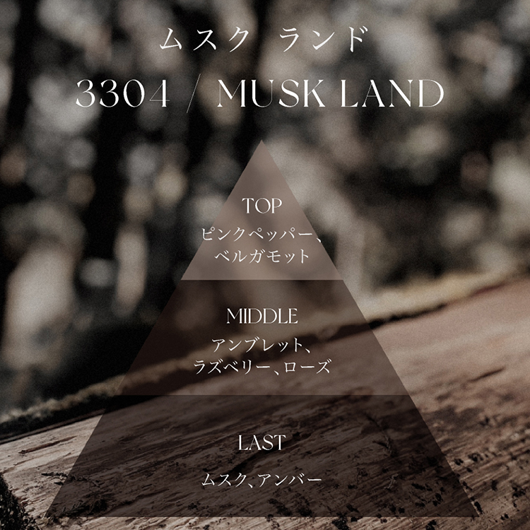 ARTiS di Voce ハンドウォッシュ 220ml 3304 MUSK LAND