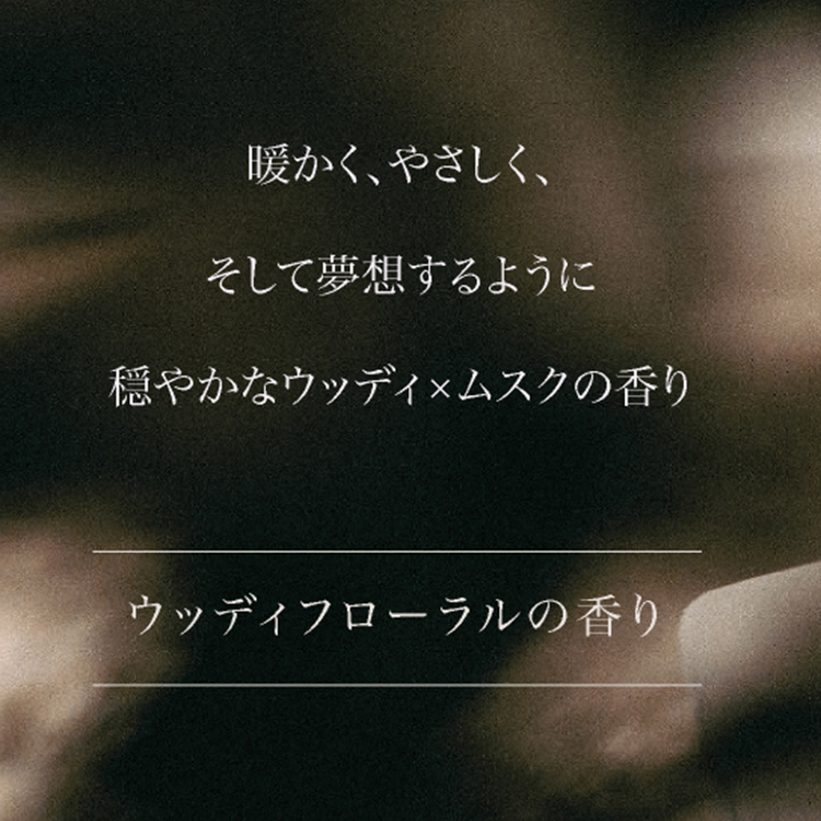 ARTiS di Voce ハンドウォッシュ 220ml 3304 MUSK LAND