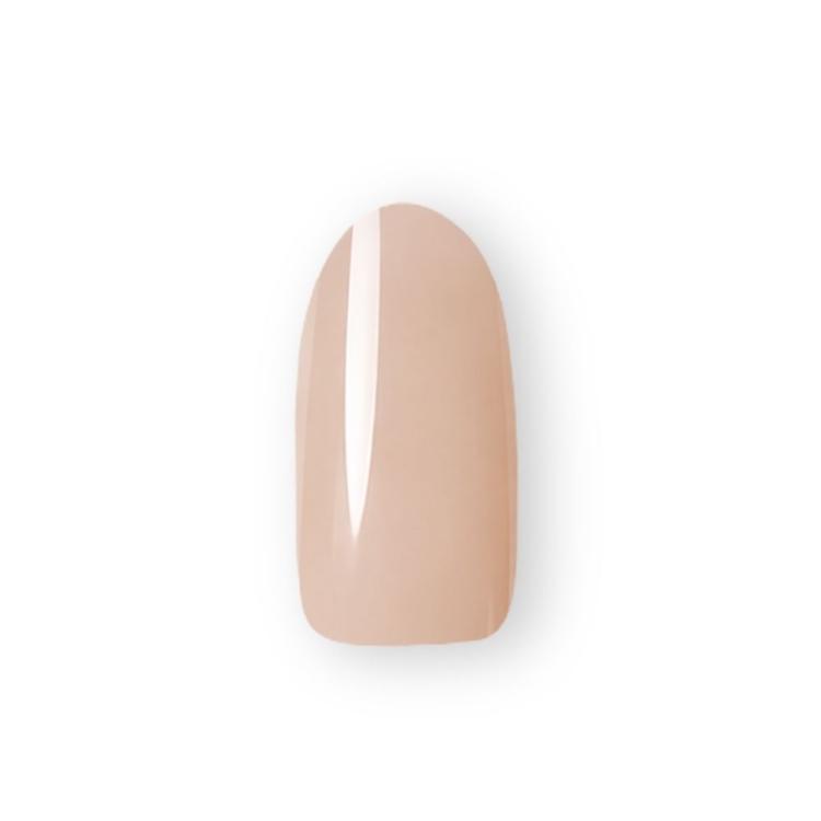 Dna Gel カラージェル 2.5g N43 ピーチペタル