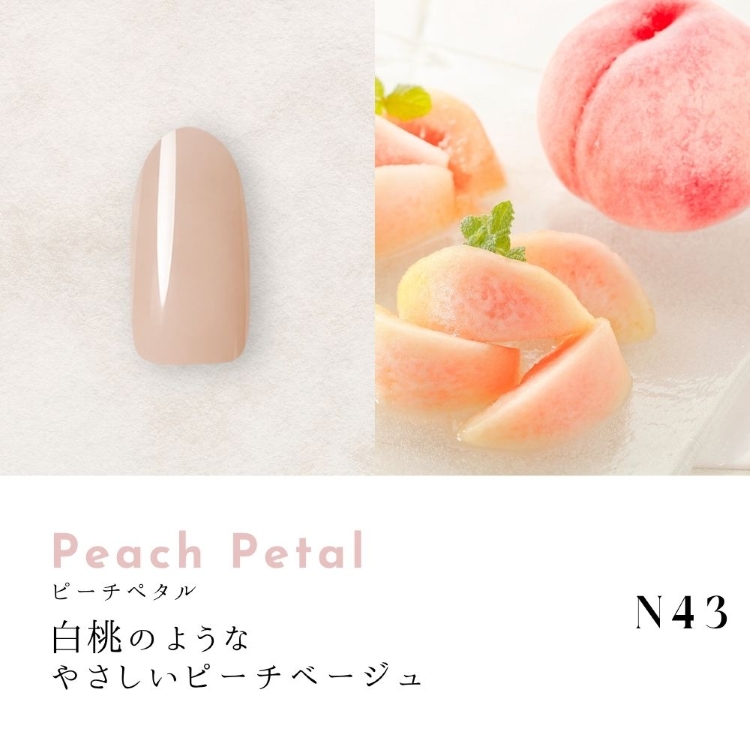 Dna Gel カラージェル 2.5g N43 ピーチペタル