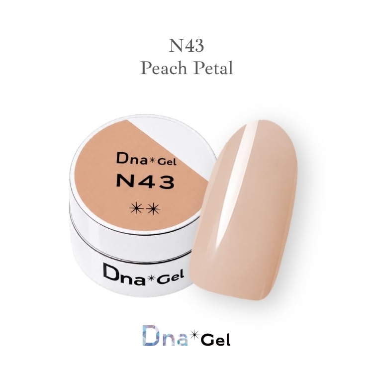 Dna Gel カラージェル 2.5g N43 ピーチペタル