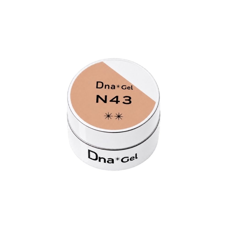 Dna Gel カラージェル 2.5g N43 ピーチペタル