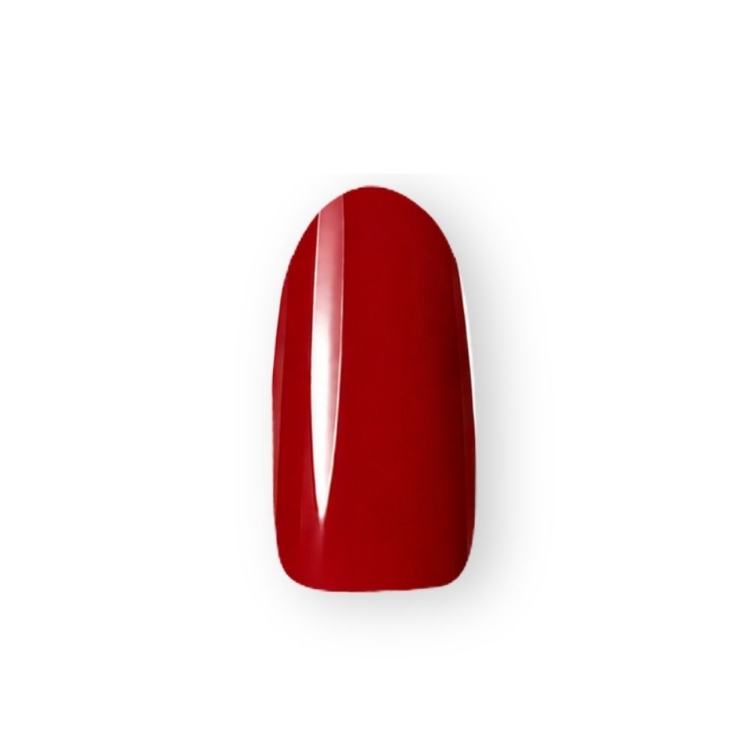 Dna Gel カラージェル 2.5g MR10 レッドカラント