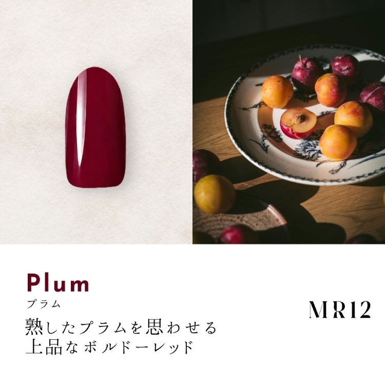 Dna Gel カラージェル 2.5g MR12 プラム