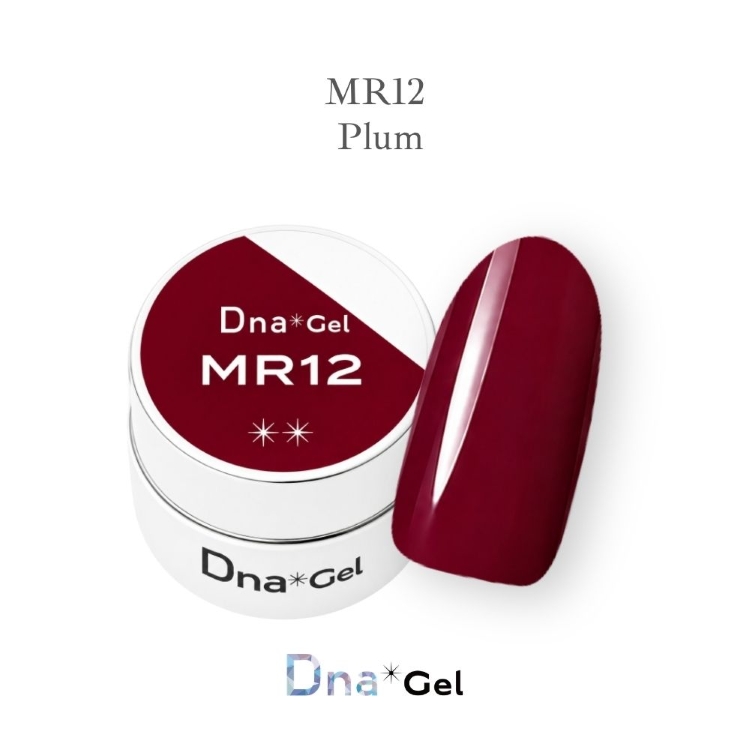 Dna Gel カラージェル 2.5g MR12 プラム