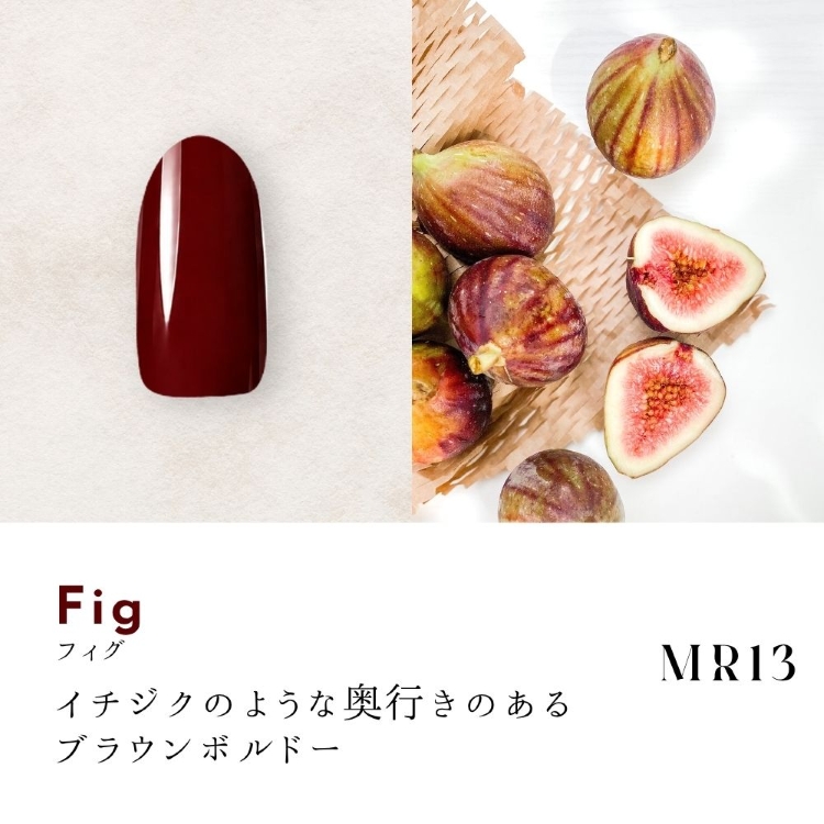 Dna Gel カラージェル 2.5g MR13 フィグ