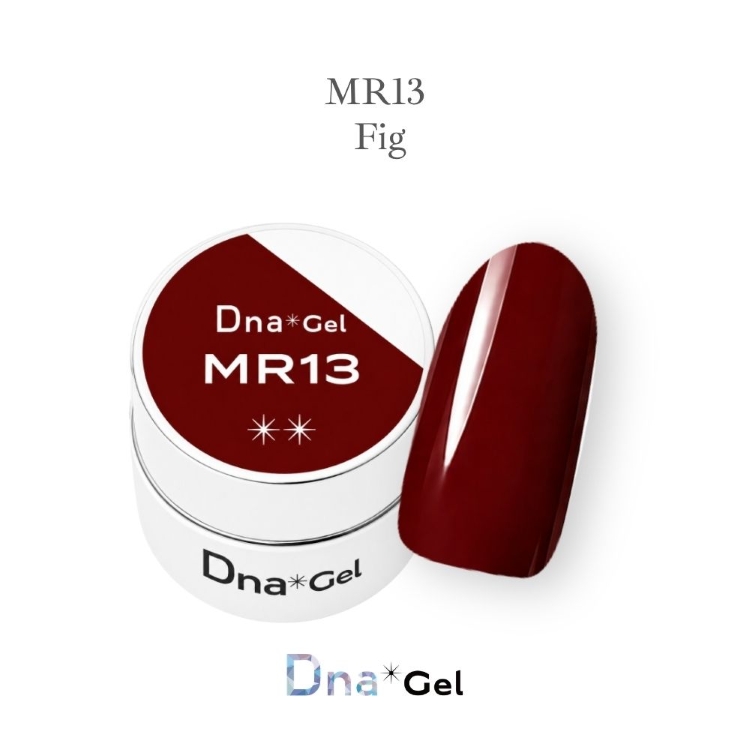 Dna Gel カラージェル 2.5g MR13 フィグ