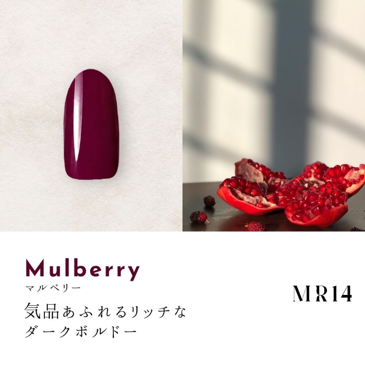 Dna Gel カラージェル 2.5g MR14 マルベリー