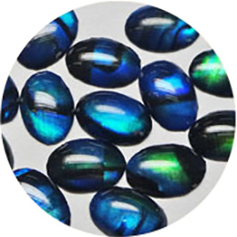 Nail Labo シェルパーツ オーバル 4×6mm ブルー