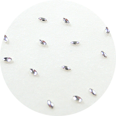 Nail Labo メタルシード シルバー S 50粒