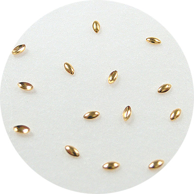 Nail Labo メタルシード ゴールド S 200粒