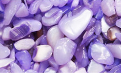 Nail Labo シェルストーン ラベンダーMix