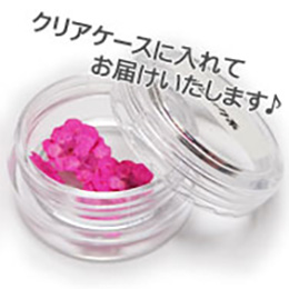 Nail Labo ドライフラワー レース ホワイト