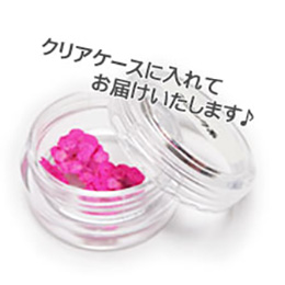 Nail Labo ドライフラワー ハートリーフ