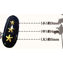 Nail Labo メタルパーツ シースター (ヒトデ) シルバー 3mm