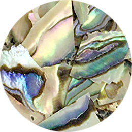 Nail Labo シェル ヴェールシート ナチュラル