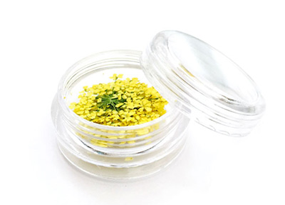 Nail Labo ドライフラワー レース バイオレット