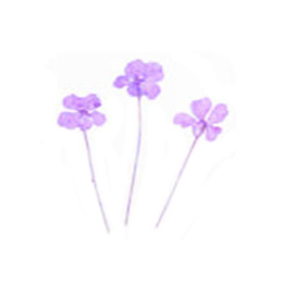 Nail Labo ドライフラワー リトルブロッサム バイオレット