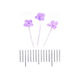 Nail Labo ドライフラワー リトルブロッサム  バイオレット