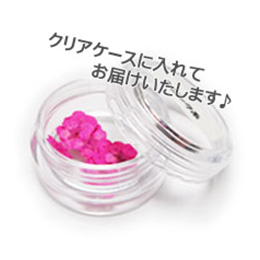 Nail Labo ドライフラワー リトルブロッサム  バイオレット