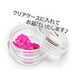Nail Labo ドライフラワー リトルブロッサム ロイヤルブルー