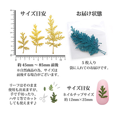 取扱終了 Nail Labo ドライフラワー フォレストリーフ バリューパック ピンク