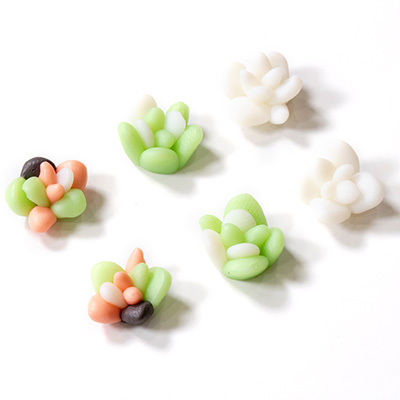 取扱終了 Bonnail× MDANail 多肉ちゃん arizona plants L