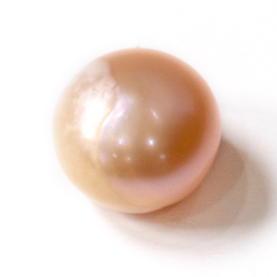 Bonnail バロックパール コレクション コンク