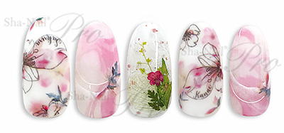 取扱終了 Sha-Nail Pro KANAE-012 Kanae Sakura color/カナエサクラ カラー