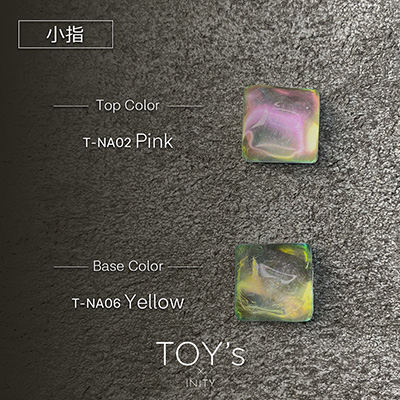 TOY’s × INITY ニューオーロラパウダー 9色セット