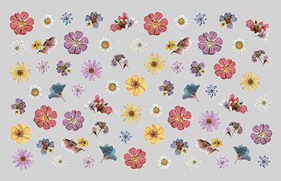 取扱終了 Amaily ネイルシール No1-33 押し花 (アンティーク)