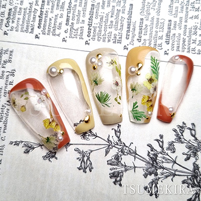 maonail 新品　未開封 mao nail｜Beauty Nail Brand