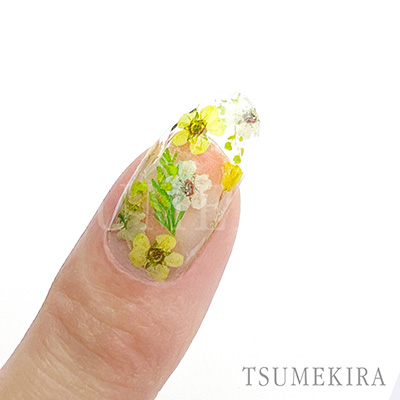 取扱終了 TSUMEKIRA ドライフラワー 両面印刷3 NN-DFR-103