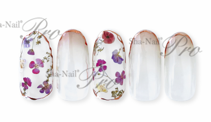 取扱終了 Sha-Nail PlusFR-RRR02FrenchRandomRoundLine-WhiskeyBrown-ランダムラウンドラインウイスキーブラウン