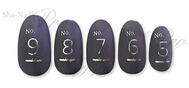 取扱終了 Sha-Nail Plus CHIHO-PPD02 No.pd -Silver- /ナンバーピーディー シルバー