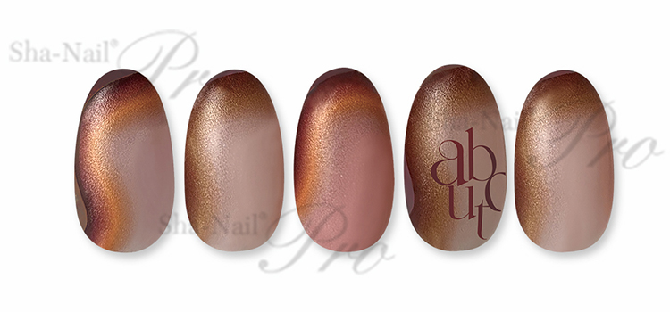 取扱終了 Sha-Nail Plus XGW-P01 X Gradation W -Brown-/エックスグラデーション ダブリュー ブラウン