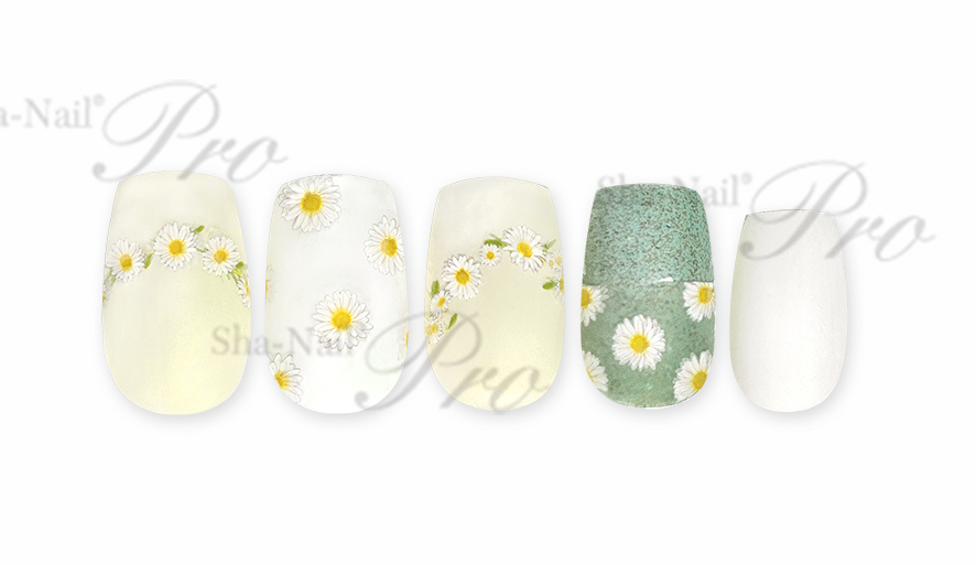 取扱終了 Sha-Nail Plus FR-DSY French Daisy / フレンチ デイジー