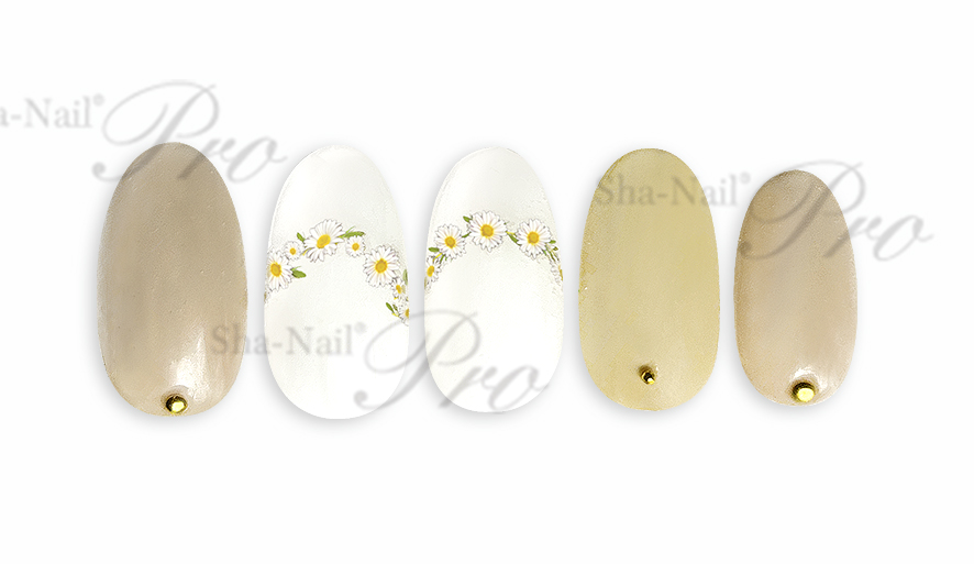 取扱終了 Sha-Nail Plus FR-DSY French Daisy / フレンチ デイジー